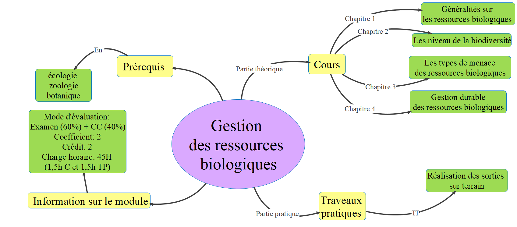 Carte conceptuelle