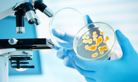 Microbiology analytical tools