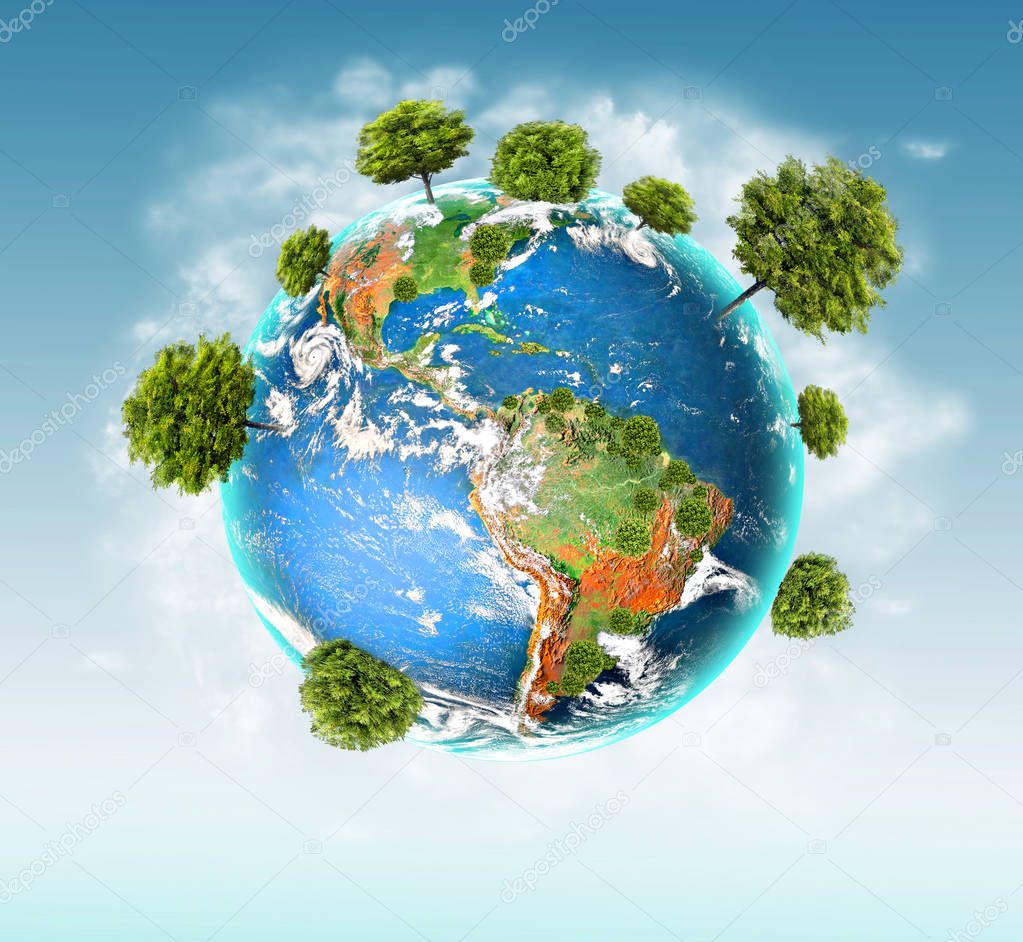 Plante et environnement 