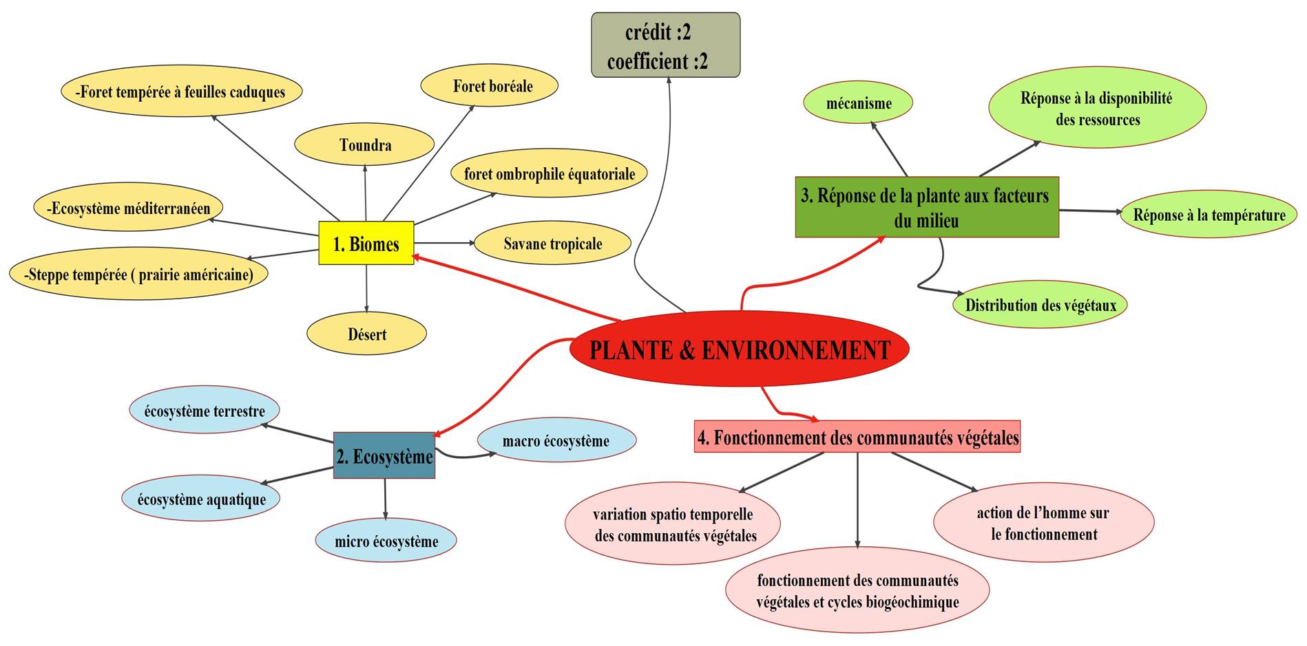Carte mentale
