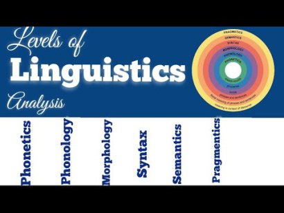 Linguistics Levels of Analysis